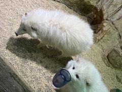 -梦幻海洋王国(吾悦广场张家港店)