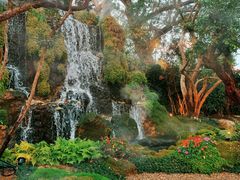 -Chom Cafe and Restaurant