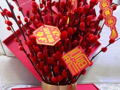 -Canada Goose加拿大鹅(沈阳万象城店)