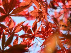 -苏州吴中太湖旅游区