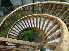 -合肥滨湖国家森林公园