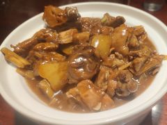 -邵年鸽(杨庄店)