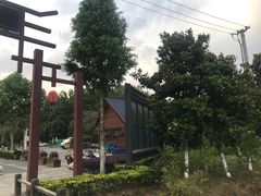 -合肥滨湖国家森林公园