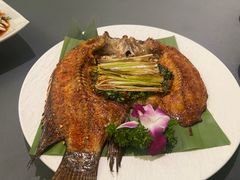 -紫滇源云南生态菜(丹凤街店)