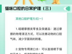 -瑞派申生动物医院·24H夜诊·国际动物医疗中心·骨外科(吴中路店)
