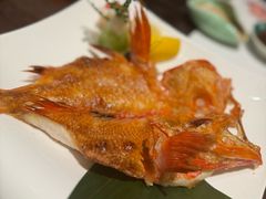 -四葉寿司·城市景观(深圳湾1号店)