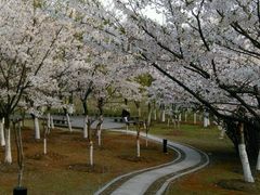 -江南大学(蠡湖校区)