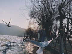-滇池海埂公园