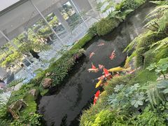 -罗红摄影艺术馆