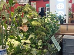 -洞庭家宴·头牌甲鱼(广渠门店)
