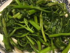 -Mountain House East Village 川山甲