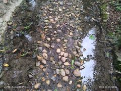 -苏州河梦清园环保主题公园