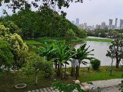 -古琴台
