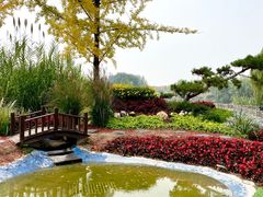 -西安浐灞国家湿地公园