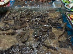 -旺角小渔村·海肠捞饭开创者(环山路店)