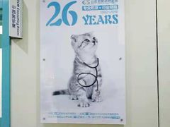-北京观赏动物医院·24小时大型综合·猫专科·异宠专科