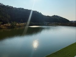 -致友月子会所旗舰店