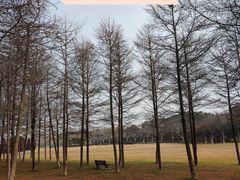 -宜兴龙背山森林公园