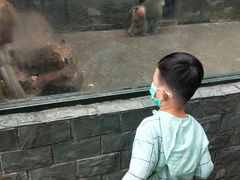 -无锡动物园·太湖欢乐园
