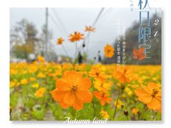 -周口店坡峰岭风景区