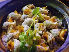 -土蚝·高压锅生蚝(百姓美食街店)