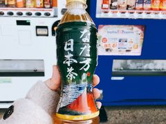 -台场海滨公园船码头