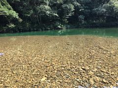 -龙湾潭国家森林公园