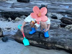 -滴水丹屏