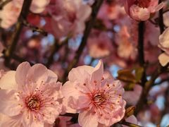 -咸阳湖景区-统一广场