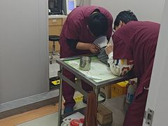 -瑞鹏宠物医院·宠保定点·心脏科·内科(御桥分院)