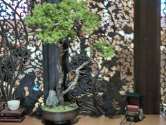 -广东胜利宾馆西关粤中餐厅