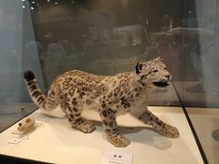 -国家自然博物馆