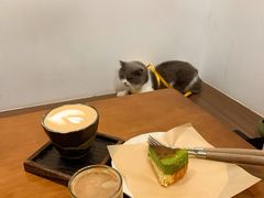 -Again Coffee Roaster(香蜜湖店)