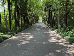 -同里国家湿地公园