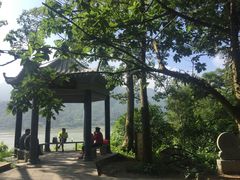-羚羊峡古栈道森林公园