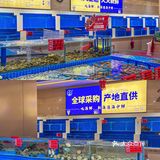 武汉美食 | 现捞现做的平价海鲜👉海港海中鲜