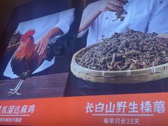 -北大荒人•新东北菜(青岛银座店)