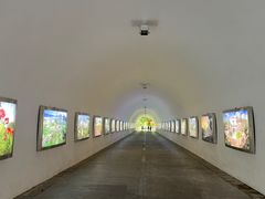 -深圳国际园林花卉博览园