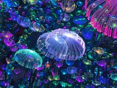 -天津梵高星空艺术馆(天河城旗舰店)
