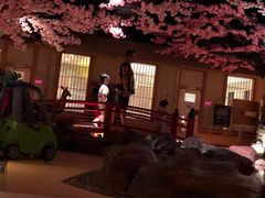 -蓝鲸湾汤泉(包河店)