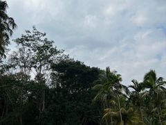 -中国科学院西双版纳热带植物园