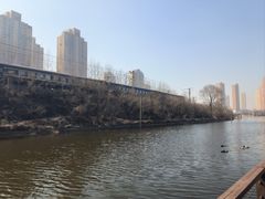 -前关湿地公园