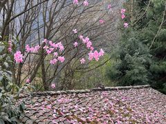 -九皇山景区