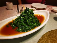 清炒金花菜-天福苑(崇宁路店)