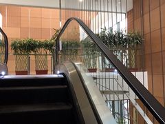-首都医科大学附属北京潞河医院