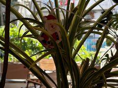 -Beans Solo豆号咖啡(百家湖花园店)