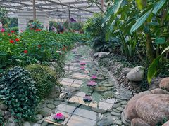 -南宫五洲植物乐园