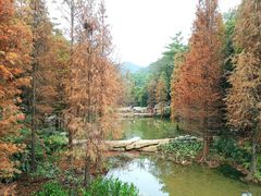 -云溪植物园