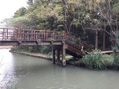 -同里国家湿地公园