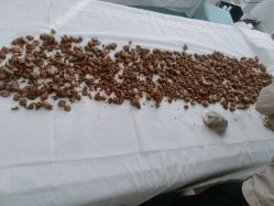 -姜美堂·蒸姜除湿の纤体美颜馆